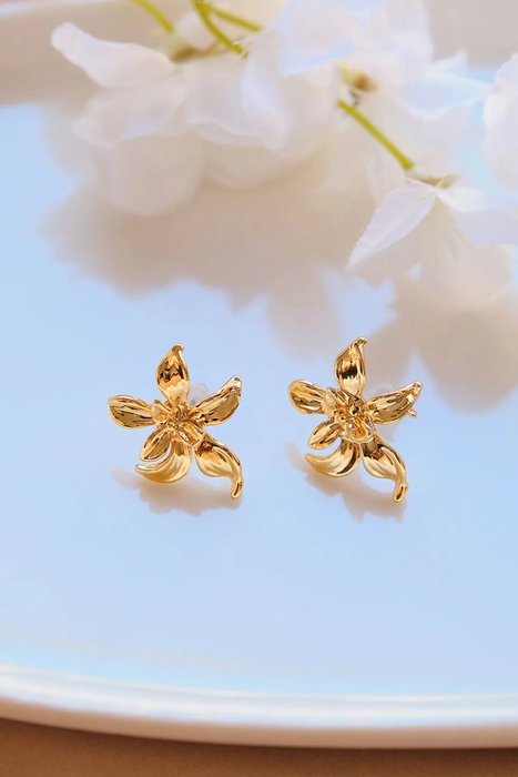 Heliophilia Silver Pendientes de Latón Dorados con Circonio